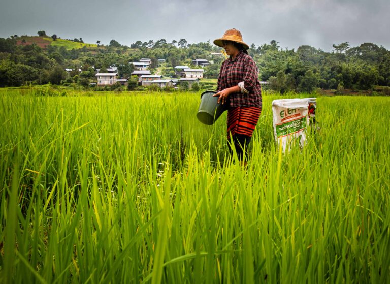 The Hands That Feed the Nation